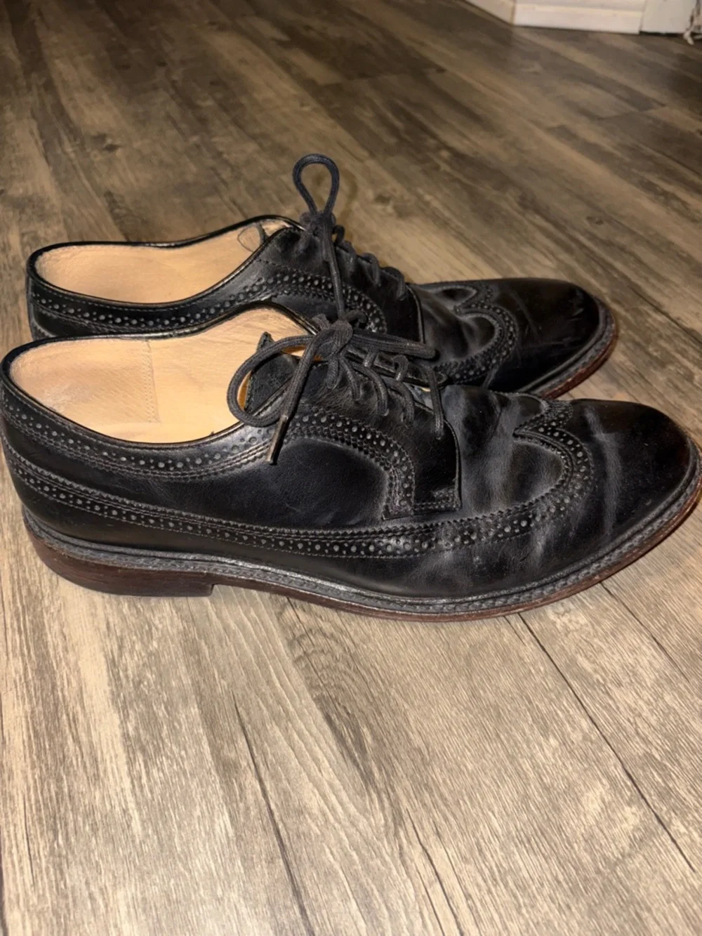 Frye company mens